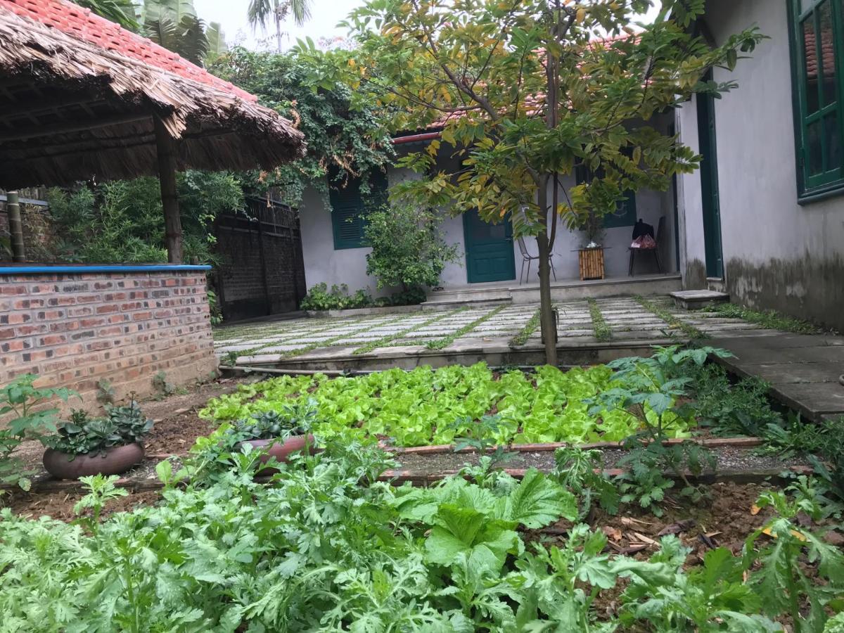 Tam Coc Eco House Daire Ninh Binh Dış mekan fotoğraf