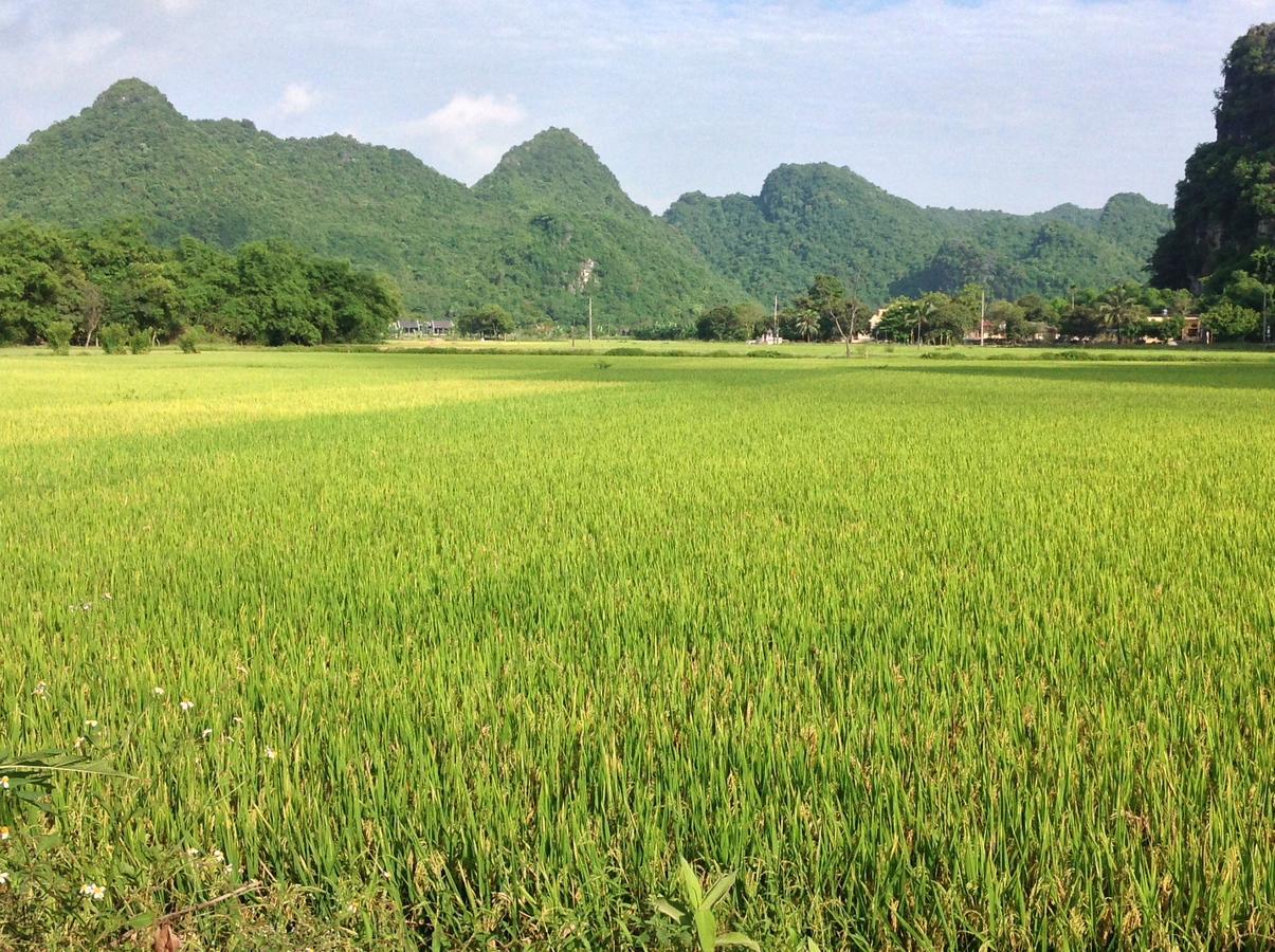 Tam Coc Eco House Daire Ninh Binh Dış mekan fotoğraf